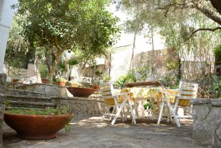 L'Antico Ulivo - Santa Cesarea Terme - 2