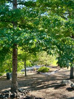 Minervas Place - 7