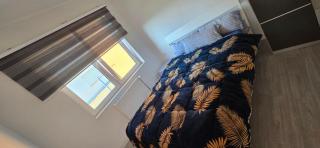 Apartment - 1