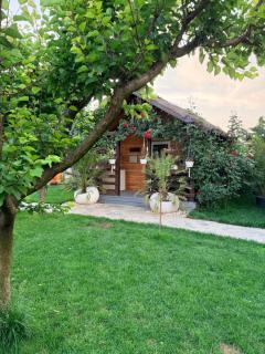 Cabana Sorina - 3