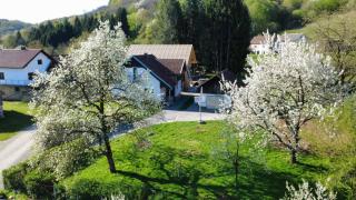 Apartma Laganini - 1