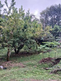 Blu Cottage - 5