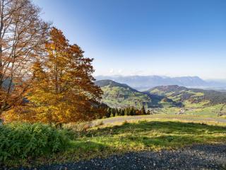 Mountain Inn - Hochquartier - Wildschönau - 1