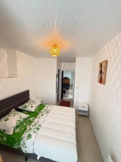Apartment for rent lamagistère, 20 min from Agen - 1