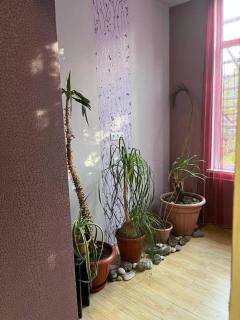 Narek Home Goris - 1