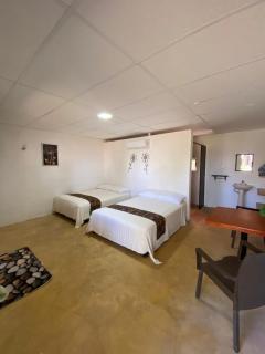 Hotel Shalva Barahona - 5