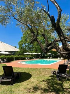 Podere Picarelly - 7