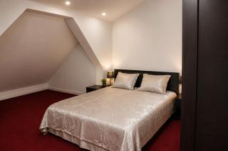 Apartament Deluxe Bistrita - 3