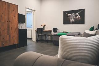Livemore24 - Apartment 1 in Recklinghausen Hoch WLAN - Smart-TV - 24-7 Check-in und Küche - 8