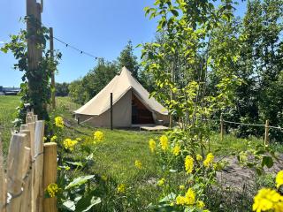 Glamping de Hof van Eeden - 8