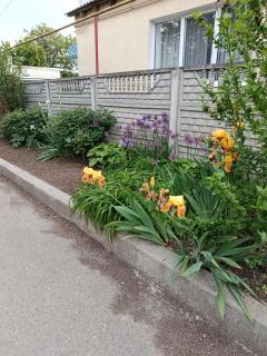 Fontanka Apartment - 4