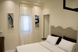 Santorini Drymades Luxury Apartment - 5