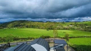 Cennin Pedr - Ruthin - 9