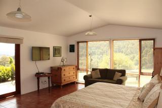 Cherryview Cygnet - Cygnet - 2