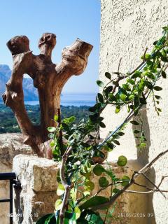 Pano Chorio Tilos - Megálon Choríon - 4
