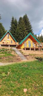 KOMOVI - Dream house - 2 - 7