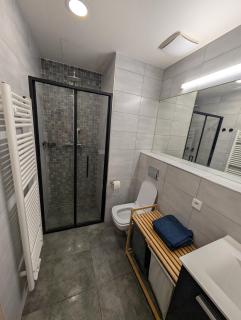 Modern Vinohrady Apartment with AC & Parking - 6