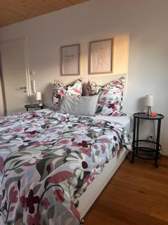 Modern Flat 5 Min from Altmuehlsee - 8
