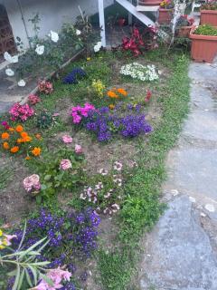 BLUE SEA Villa Versilia - 8