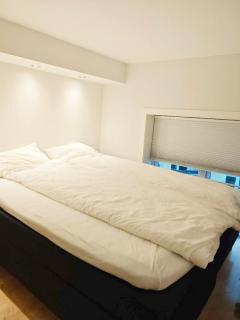 Central Duplex Apartment Oslo S - 1