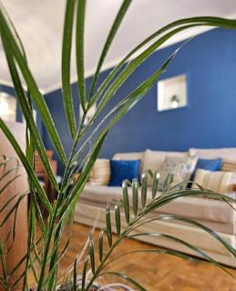 Cómodo departamento en Nueva Córdoba con amplia terraza y asador privado - 5