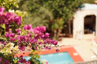 Dar Jamila Agafay - Ait Imour - Marrakech - 3