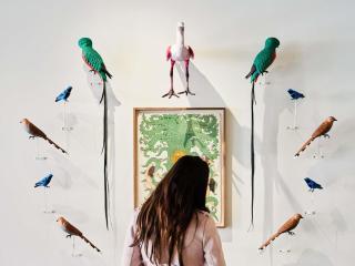 21c Museum Hotel Bentonville - MGallery - 3