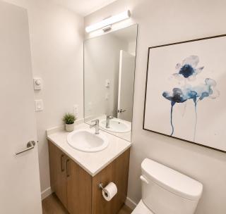 Perfect Brand New Studio Downtown Sidney - 2