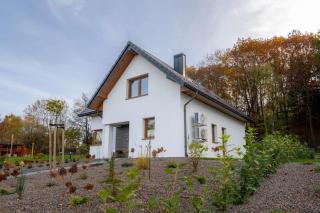 Large holiday villa with garden, sauna and jacuzzi - 0