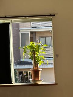GreenRoadTokyo Eco spacious House Quiet Private Stay - 2