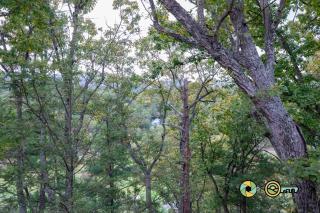 Senedo Springs Condo #1-301 - 4