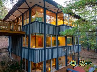 68 Polk Street: Arbor Vitae - 8