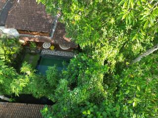Ubud-Hideaway cozy villa -2 Ch -Piscine - 7