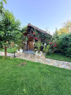 Cabana Sorina - 7