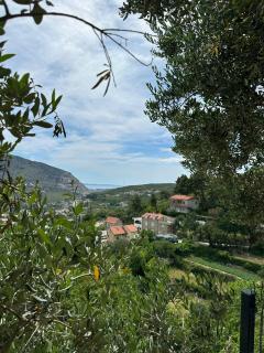 Whispering Hills House Sea & Mountain View - 6