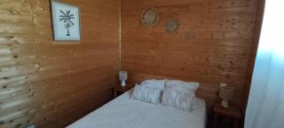 Chalet brumalis - 1