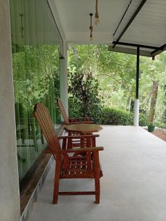 Rain forest freedom - 0
