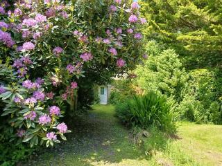 Nice cottage in Brittany - 8