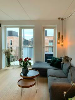 Penthouse With Rooftop Terrace Near Havnevigen - 4