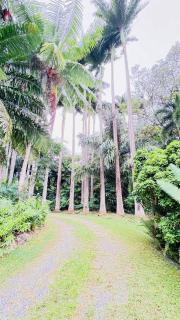 Enchanted Garden Escape - 6