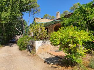 Bastide gecko doré - 8
