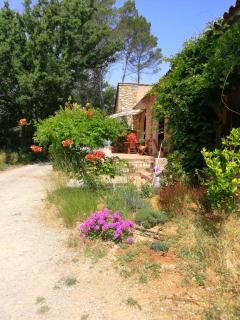 Bastide gecko doré - 9