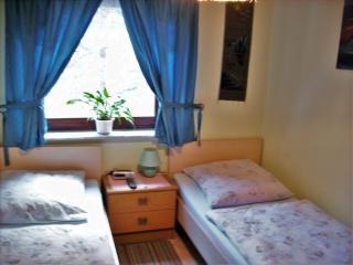 Comfortable apartment in Obernaundorf with shared pool, 45m² - Obernaundorf - 2