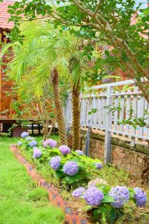Co To Victory Homestay - 2