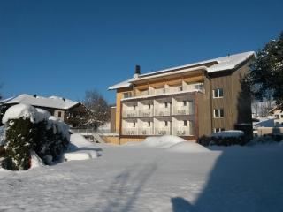 Familienhotel Adler - Lingenau - 0