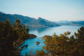Treetop Cabin gem - a forest feeling by the Hardangerfjord - Herand - 1