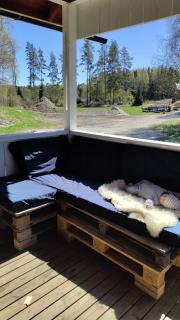 Hirvikallio - a peaceful cottage in the middle of nature - 4