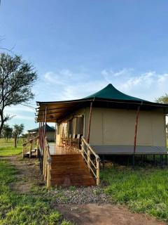 The African Kongoni Serengeti Safari Camp - 7