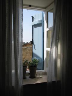 Dolphin Guest House and Studios - 9