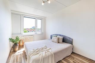 1 bedroom 1 living room apartment with a kitchen - 0